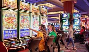 7d bet