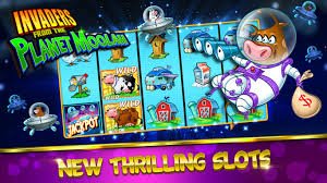 7d bet